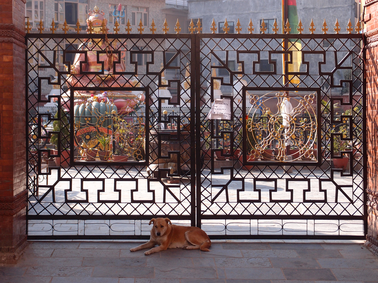 2018-01-19 10 Uhr - Boudha Walk (Foto) 